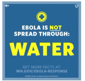 ebola vine