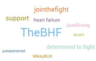 Figure 4 Topic cloud of HCP-only discussions about the BHF campaign and related keywords
